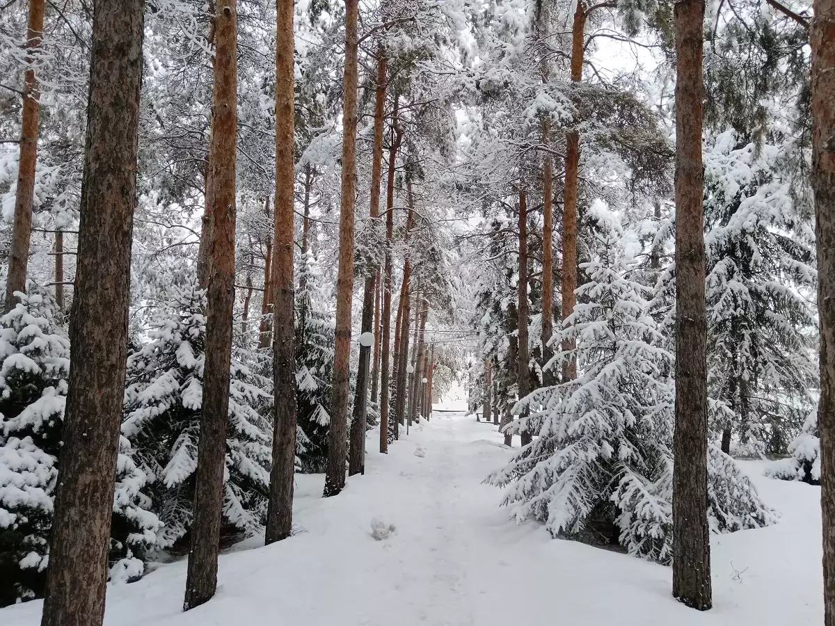 О лете - в январе: что говорят народные приметы