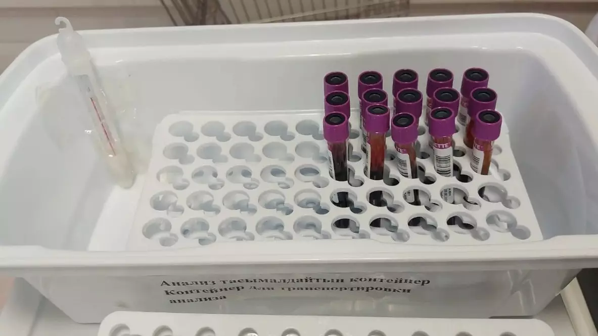 Дәрігер: Жаңа жыл қарсаңында донорлық қанға сұраныс күрт артты