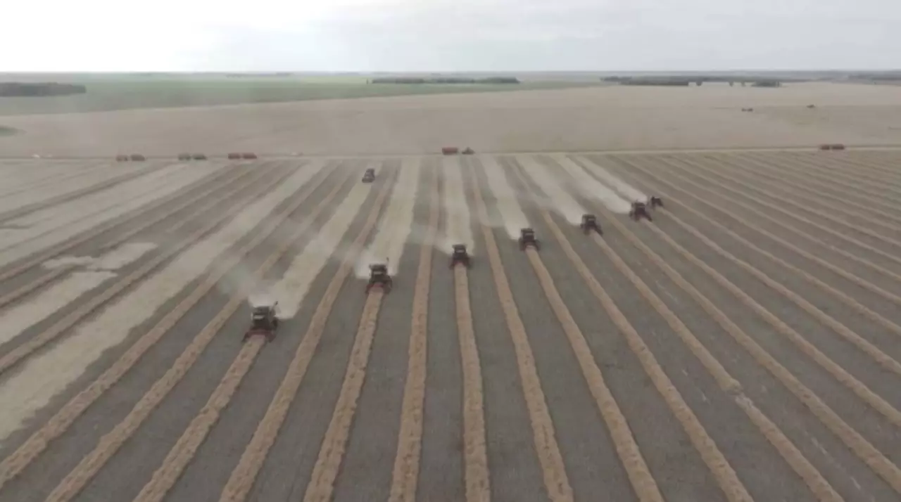 АӨК: рекордтық өнім мен экспорт