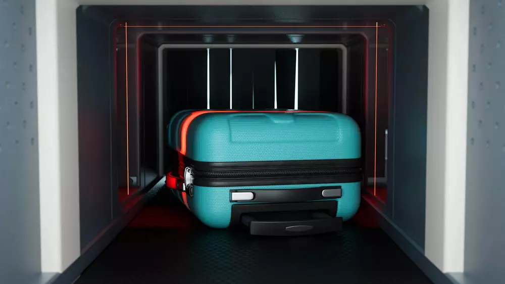 Гренландский тюлень и миллионы в чемоданах: что запрещено ввозить в Казахстан