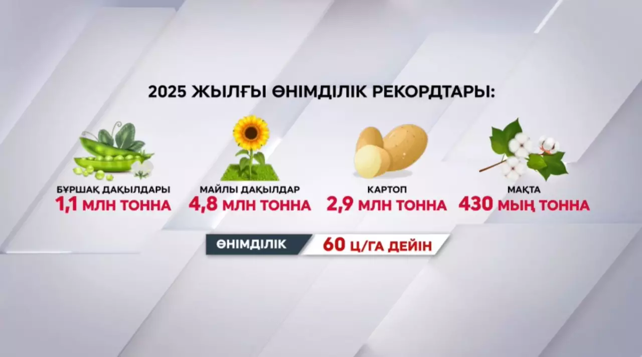 Биыл егін шаруашылығы рекорд жаңартты