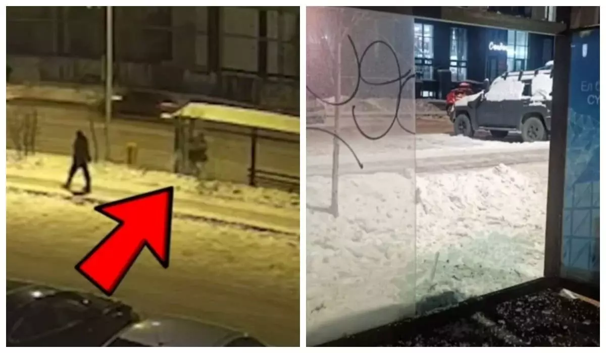 Ночной инцидент в Астане закончился арестом на 20 суток (ВИДЕО)