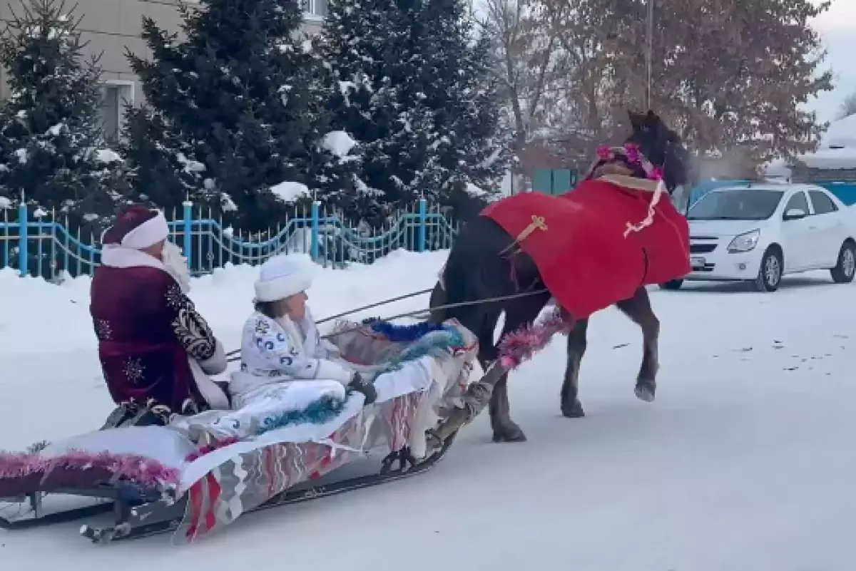 Дед Мороз и Снегурочка на санях посетили жителей области Абай (видео)