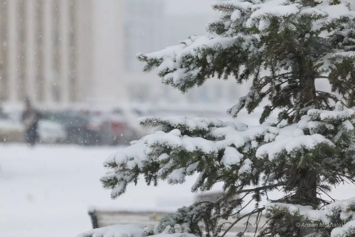 Казахстан накроют метели и туманы: где на Новый год ударят морозы, а где придёт оттепель