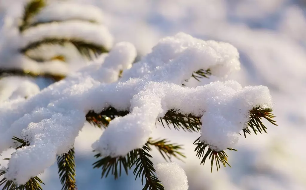 Какой будет погода в Казахстане в январе