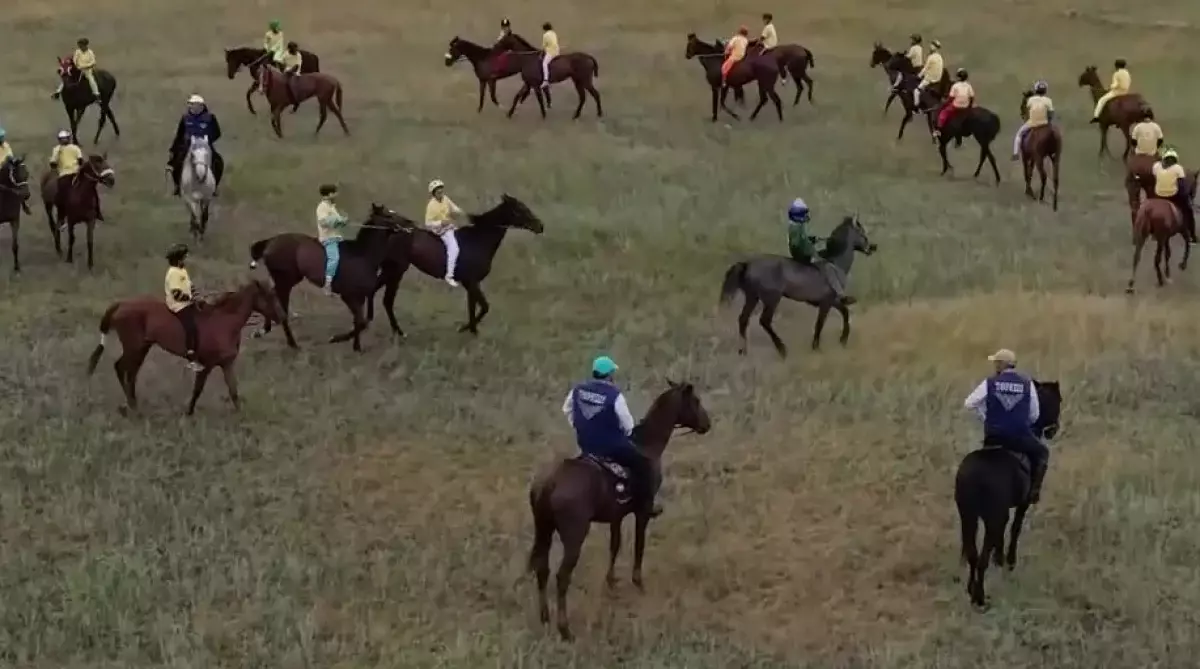 Год Лошади в Казахстане: символ силы, перемен и новых возможностей