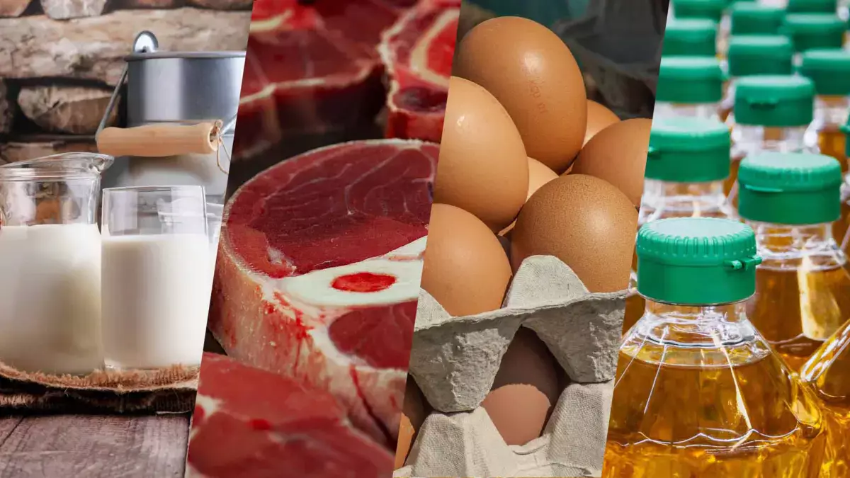 Импорт товаров в Казахстан продолжает бить рекорды по росту цен - новости на Lada.kz 31.12.2025