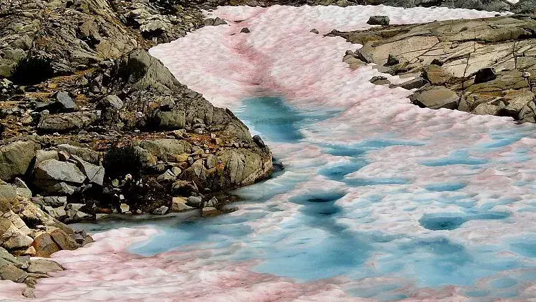 “Қызыл қар жауған” - Тұрғындар көше бойындағы экологиялық құбылысқа шағымданды (ФОТО)