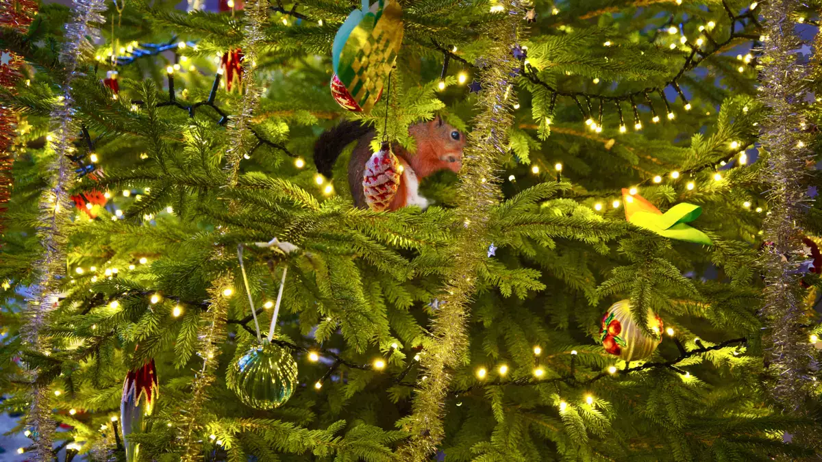 Новогодний блиц-опрос акимов Мангистауской области и Актау - новости на Lada.kz 31.12.2025