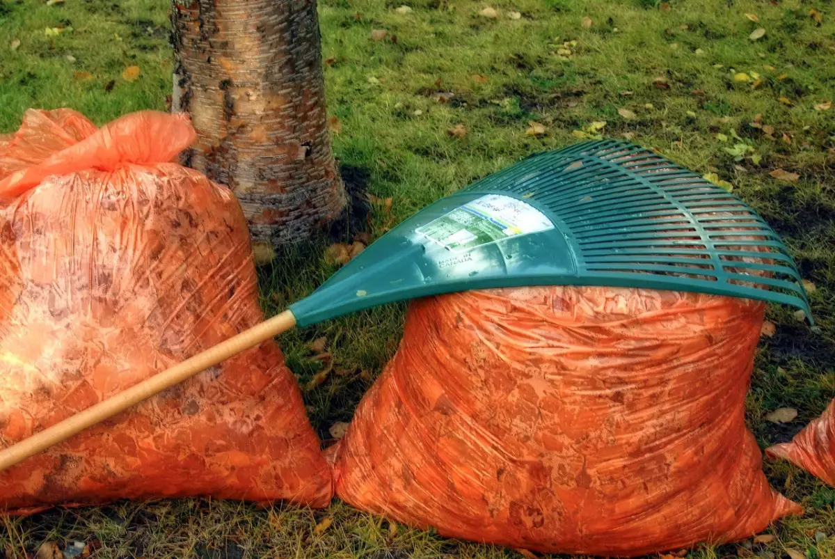 Приоритетом для страны в 2026 году останется реализация проекта "Таза Қазақстан"