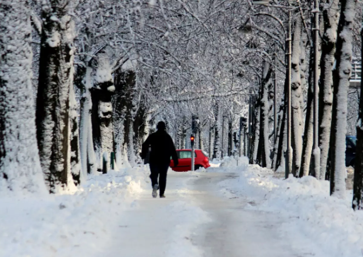 Сильный снег и осадки прогнозируются в ряде регионов Казахстана