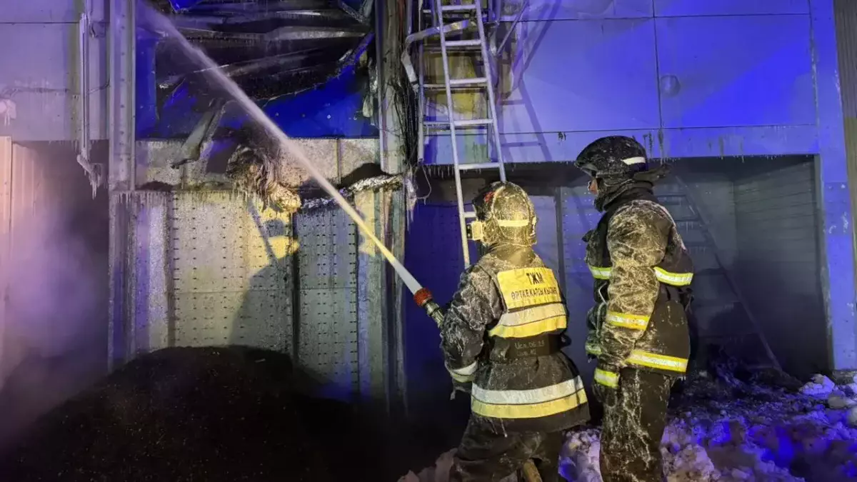 Жаңа жыл түні құтқарушылар 210 рет көмекке шықты