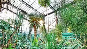 Алматының ботаникалық бағына кіру билеттерінің бағасы өсті