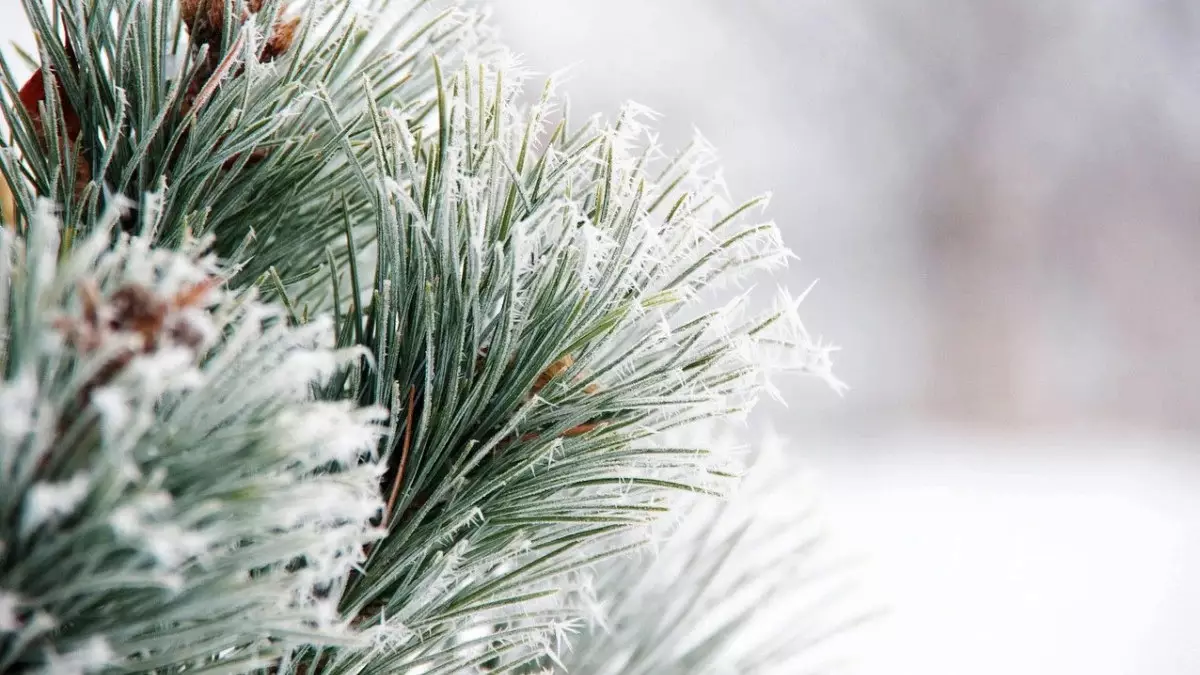 Қазақстанда қаңтар әдеттегіден жылырақ болады