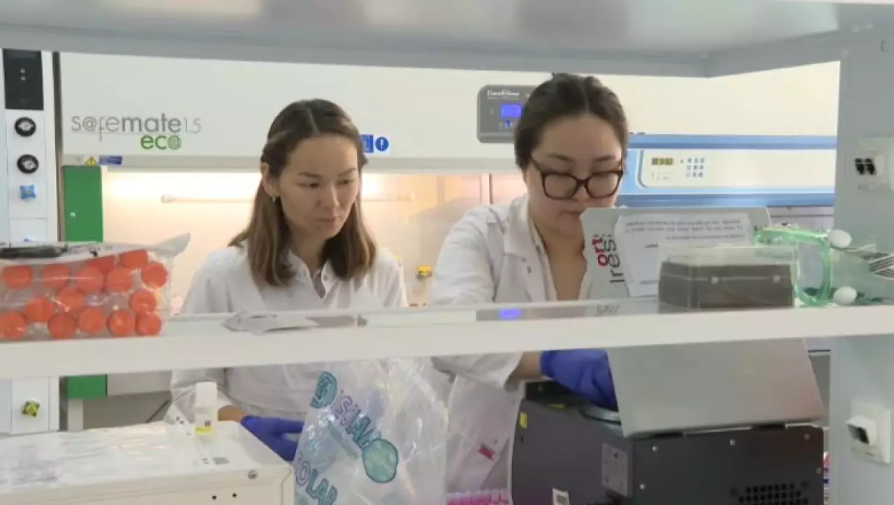 Мягкая сила знаний: 2026 – год образования и науки