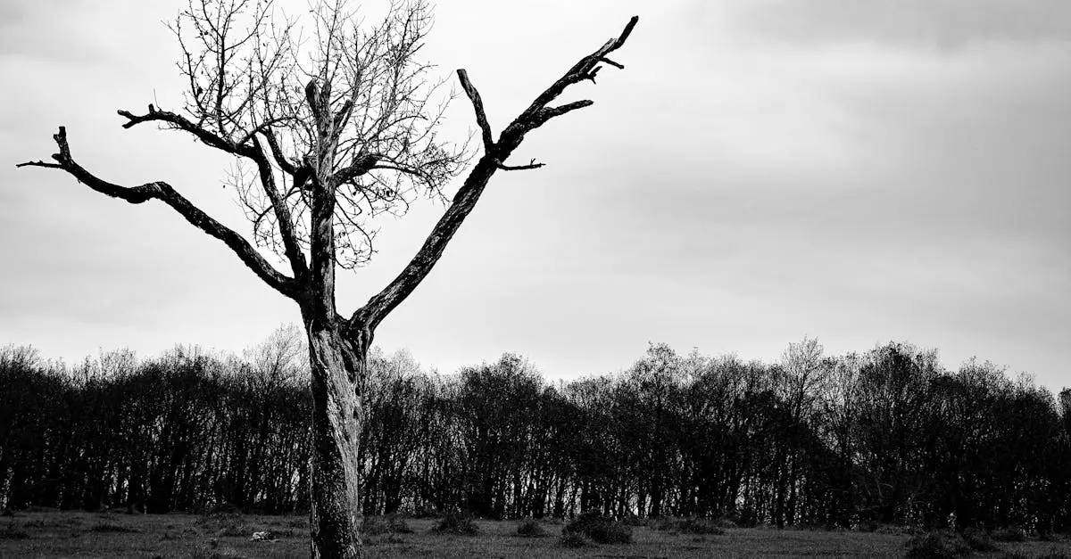 Астана мен Алматыда көктайғақ пен тұман болады: синоптиктер ескертті