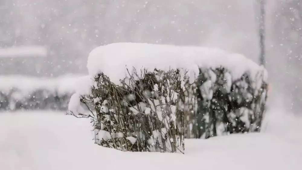 Осадки, туман, гололед: какой будет погода в Казахстане 2 января