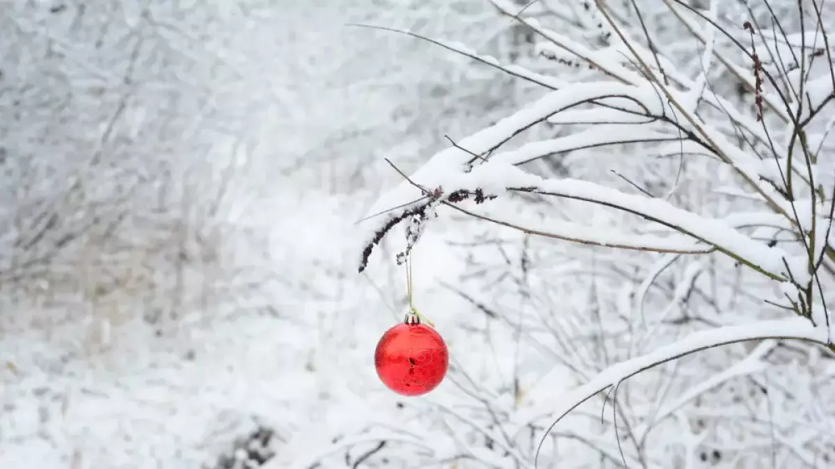 2 қаңтарда Қазақстанда қар жауып, боран соғады