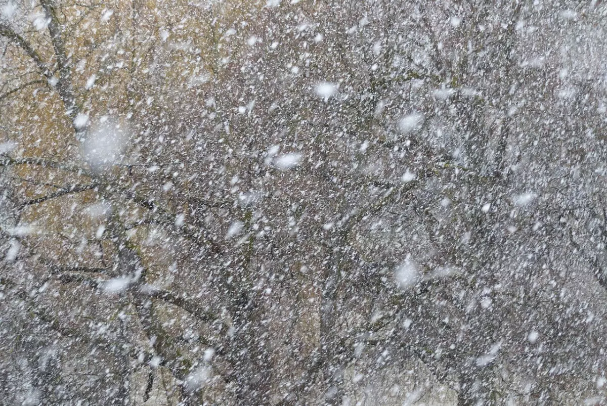 Снег и ветер: какая погода ожидает казахстанцев