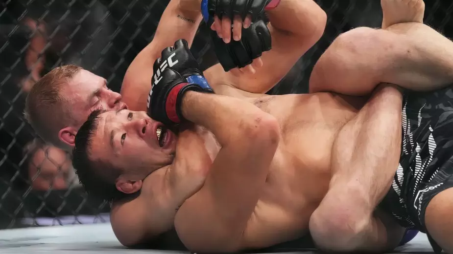 "Либо Шавкат, либо Иан". Гэрри объяснил, почему считает себя главным претендентом на титул UFC