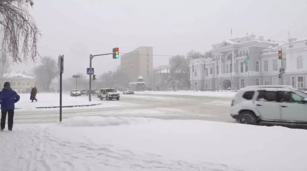 БҚО-да «Таза Қазақстан» чат-ботына 393 өтінім түскен