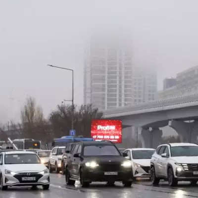 Госномера для авто в Казахстане теперь можно выбирать самостоятельно