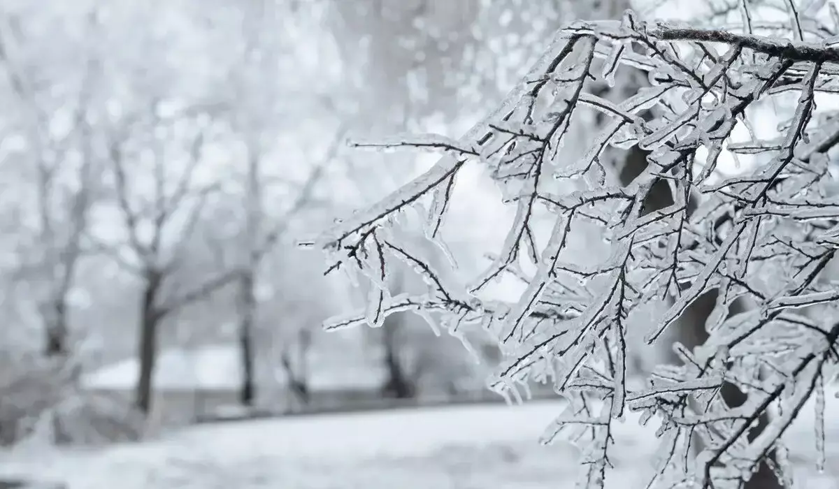 Снег с метелью и гололедом: прогноз погоды в Казахстане в ближайшие дни