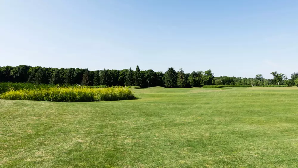 Более двух миллионов гектаров земель вернули в госсобственность Казахстана
