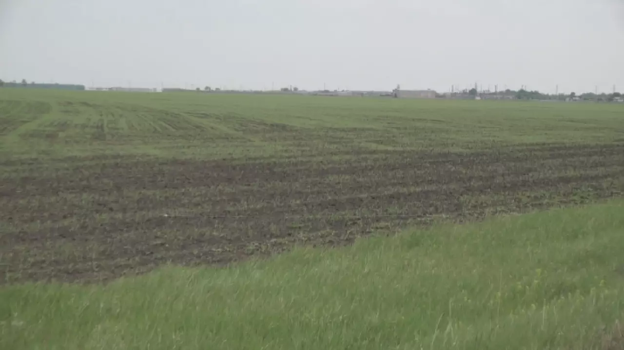 Былтыр мемлекетке 2,1 млн гектар жер қайтарылды