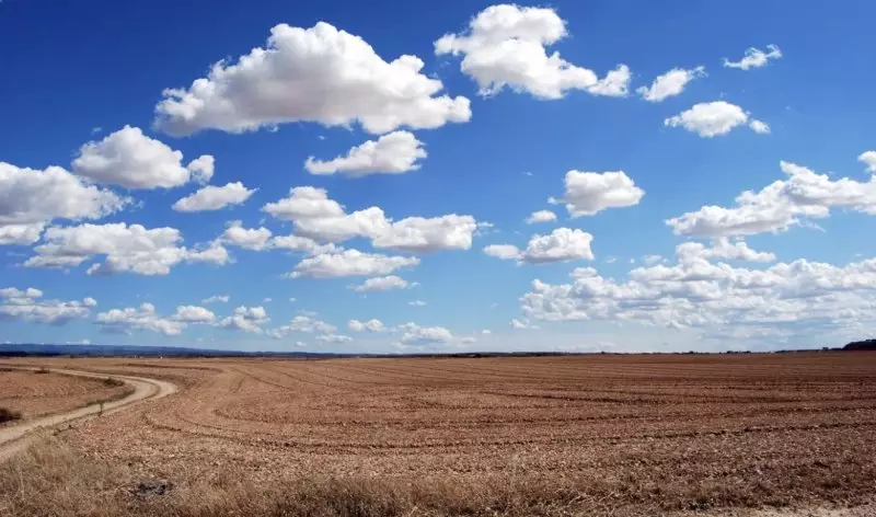 Миллионы гектаров без дела: сколько земель вернули в госсобственность в Казахстане