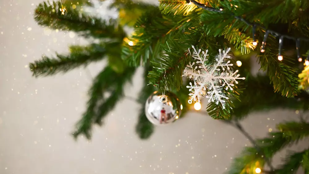 Мужчина поджёг новогоднюю ёлку в подъезде жилого дома в Темиртау