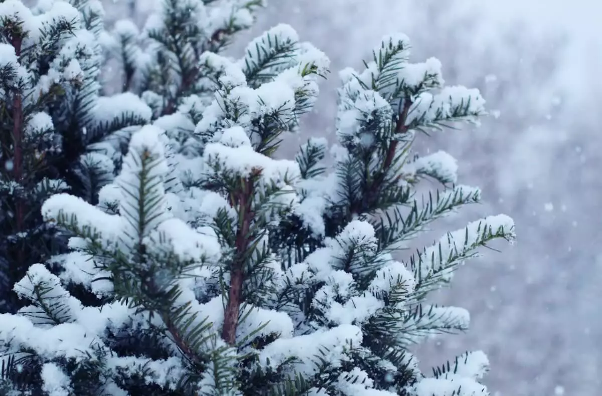 Туманы и гололедица: прогноз погоды в Казахстане на 3 января