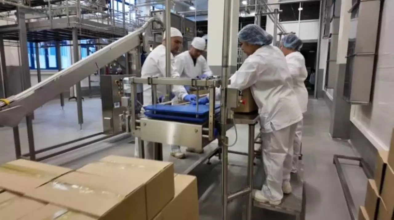 От фермы до завода: как развивается агросектор СКО