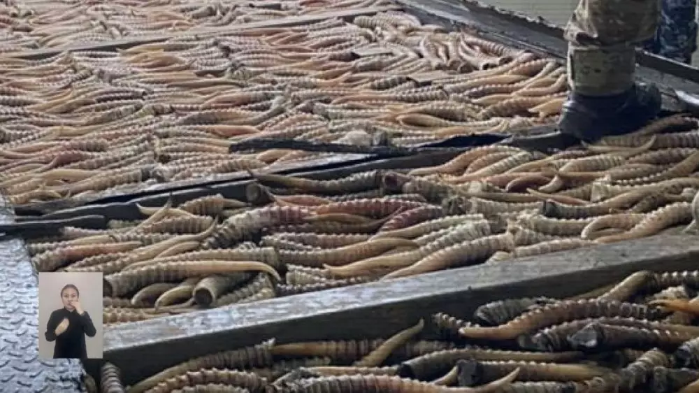 На границе Казахстана и России задержали браконьеров