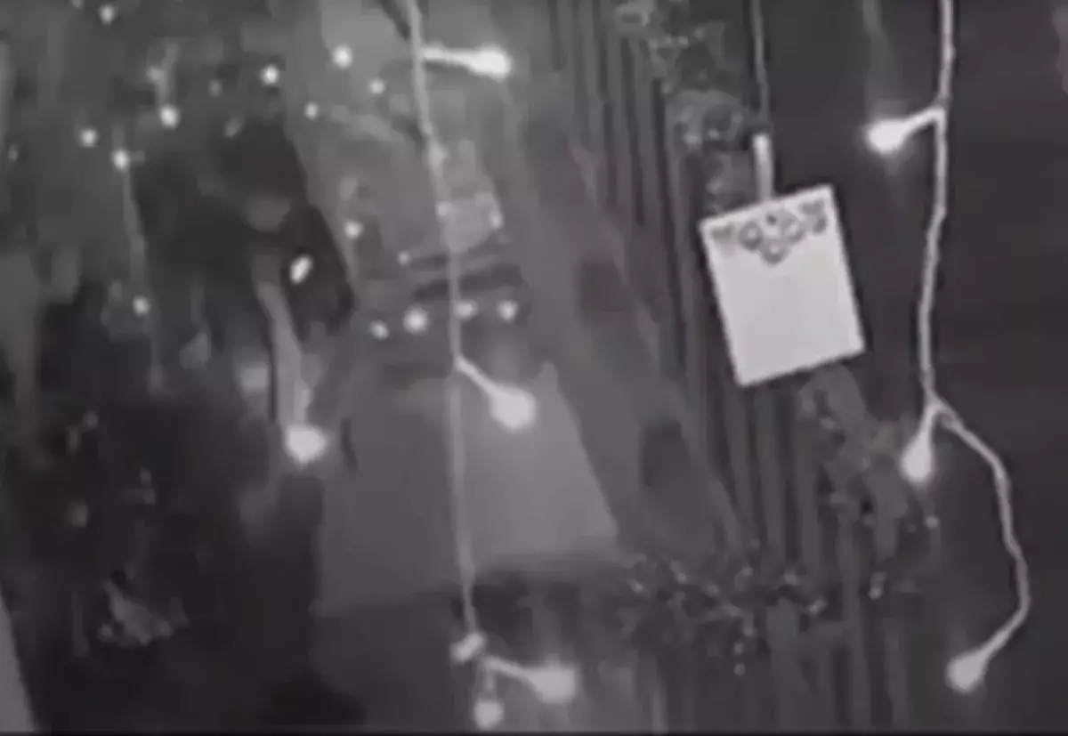 Житель Темиртау поджег новогоднюю елку в подъезде своего дома