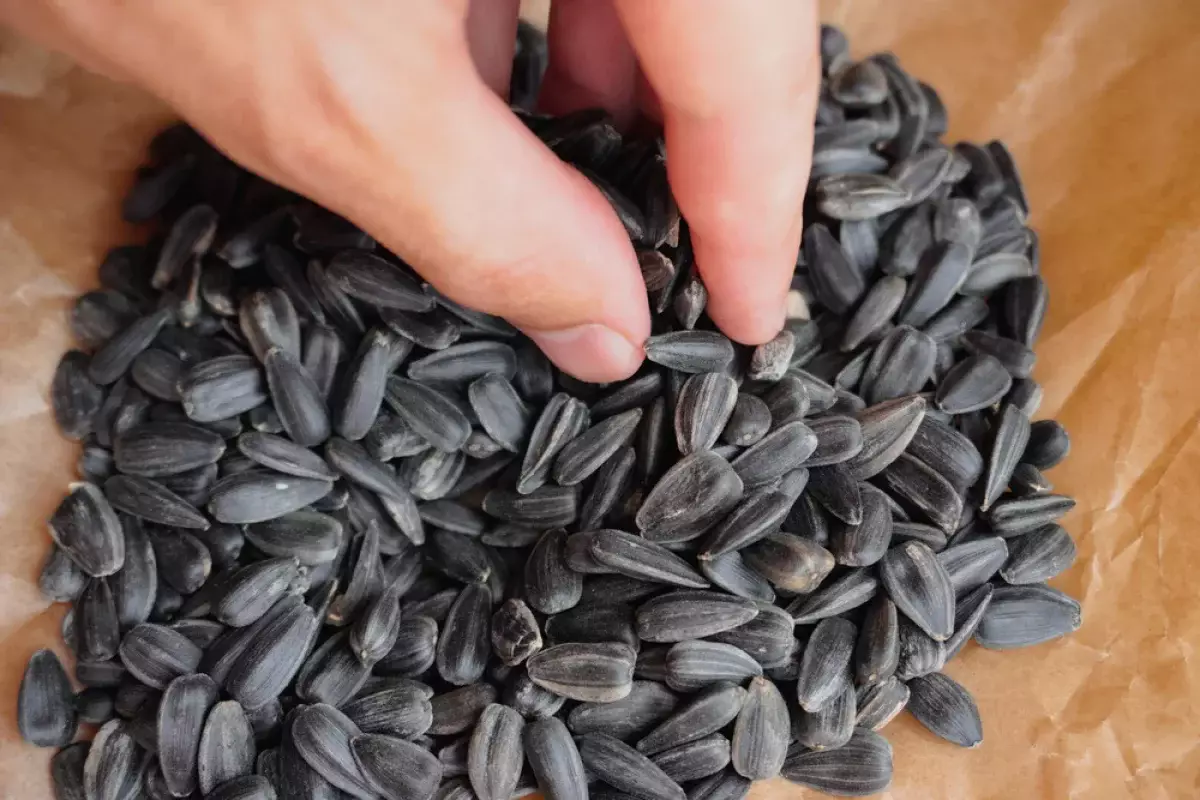 Семечки вместо психолога: неожиданный лайфхак при стрессе