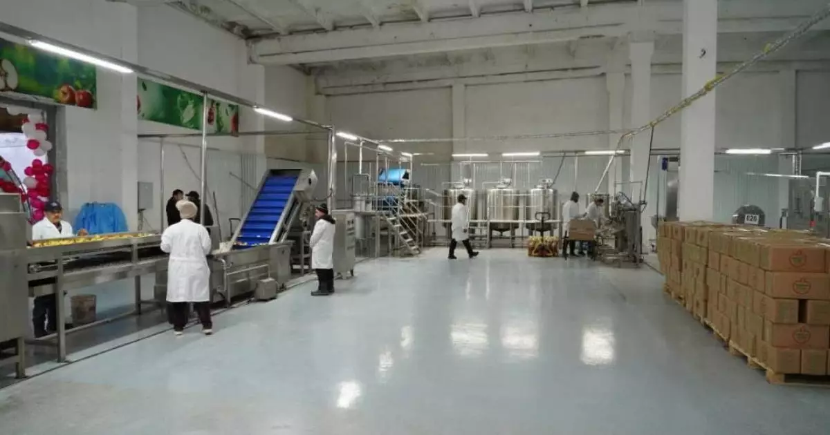  Түркістан облысында жеміс-жидектерді терең өңдейтін зауыт іске қосылды 