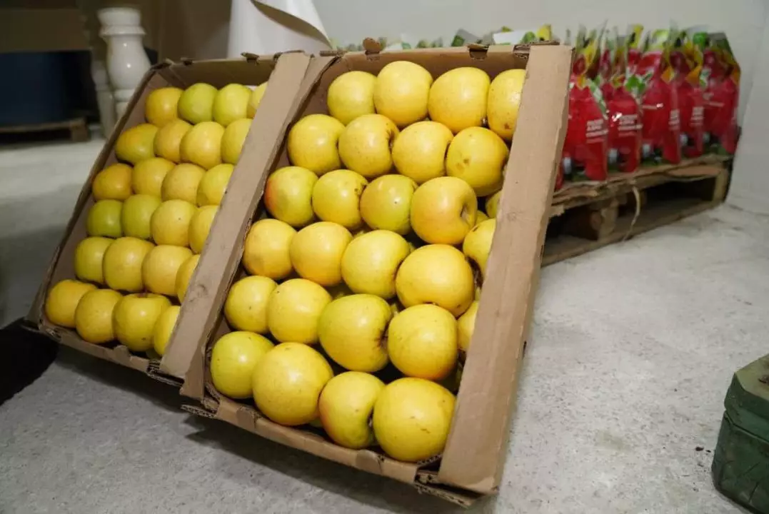 Завод по глубокой переработке фруктов и ягод открылся в Туркестанской области