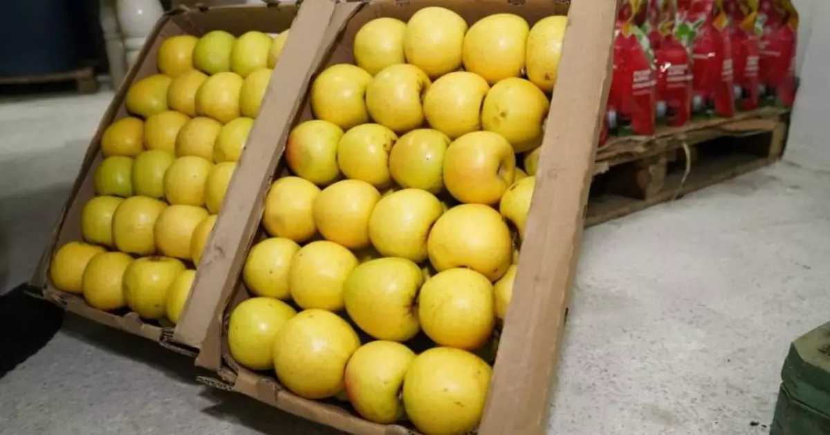  Түркістан облысында жеміс-жидектерді терең өңдейтін зауыт іске қосылды 