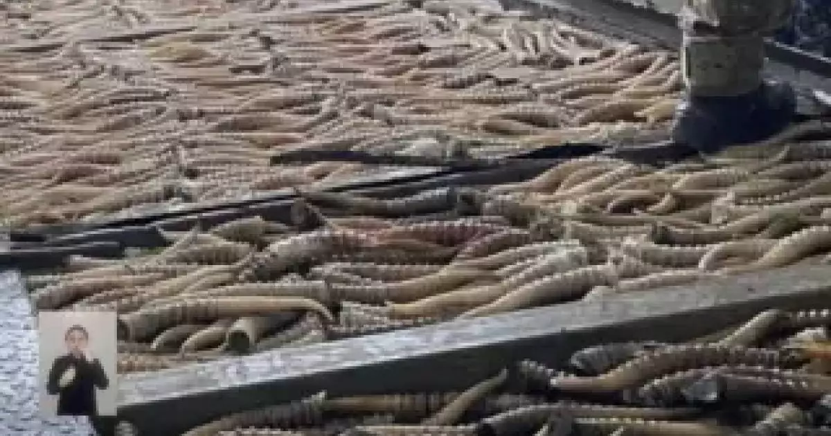  Қазақстан мен Ресей шекарасында браконьерлер ұсталды 