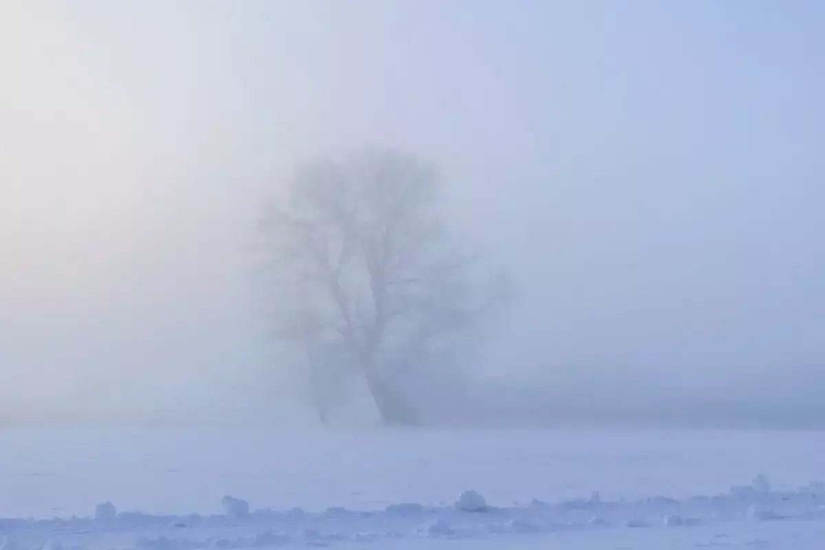 Тұман түсіп, боран соғады: 16 өңірде дауылды ескерту жарияланды