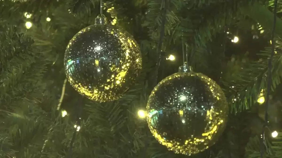 Теміртауда жаңажылдық шыршаны өртеген тұрғын 10 тәулікке қамауға алынды