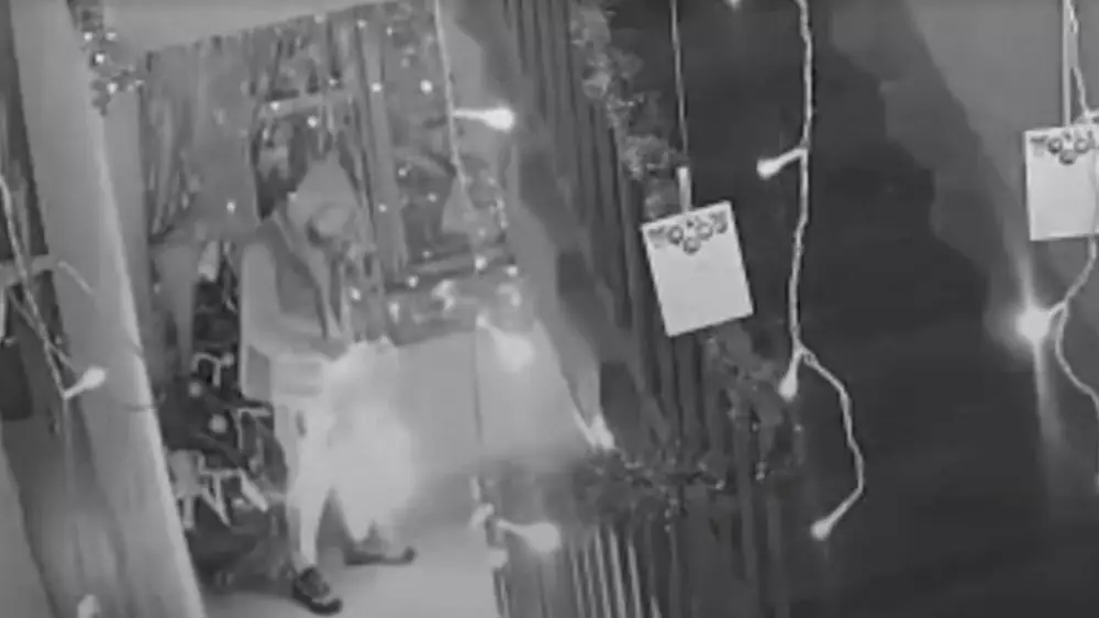 Мужчину, поджёгшего новогоднюю ёлку в подъезде дома в Темиртау, арестовали на 10 суток