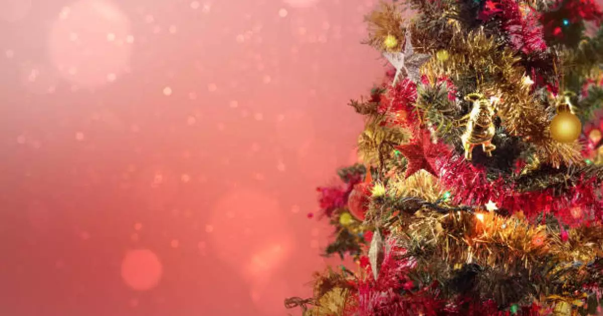  Теміртауда жаңа жылдық безендіруді қасақана бүлдірген ер адам қамауға алынды 