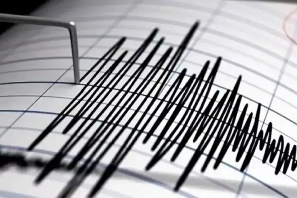 В Мексике после землетрясения магнитудой 6,5 зафиксировали более 900 афтершоков