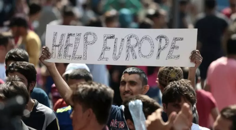 Из Европы всё чаще депортируют мигрантов