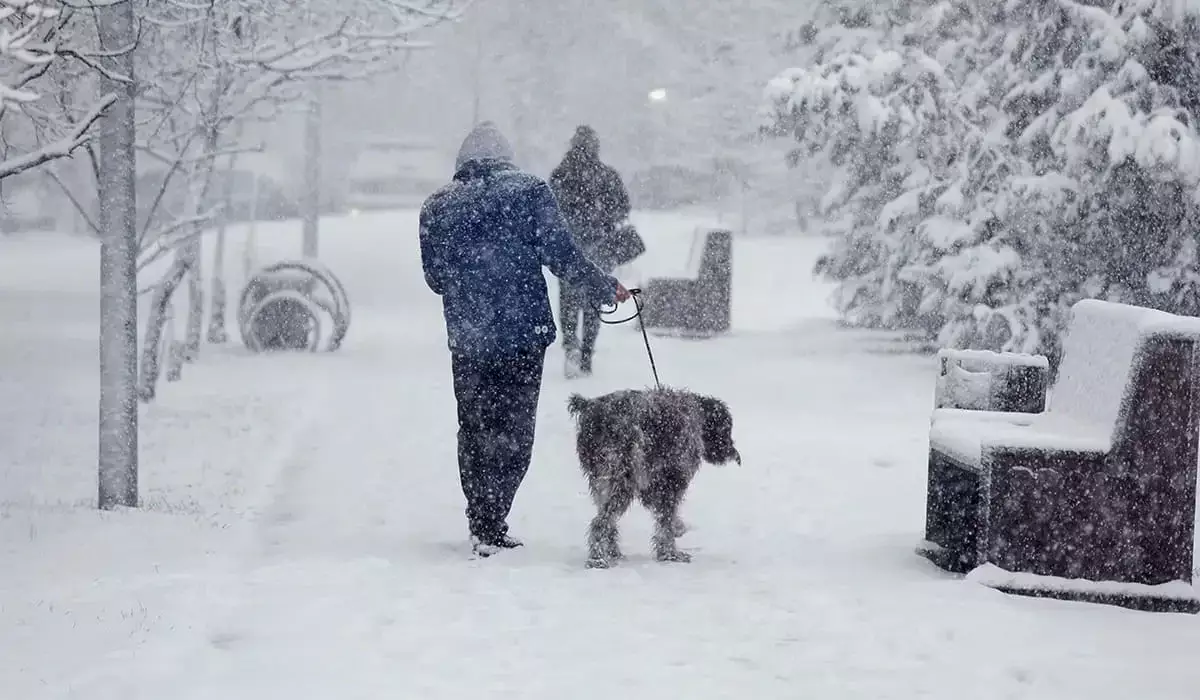 Какая погода ждет казахстанцев 4 января
