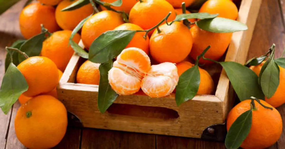  Мандариннің тосын қаупі анықталды 