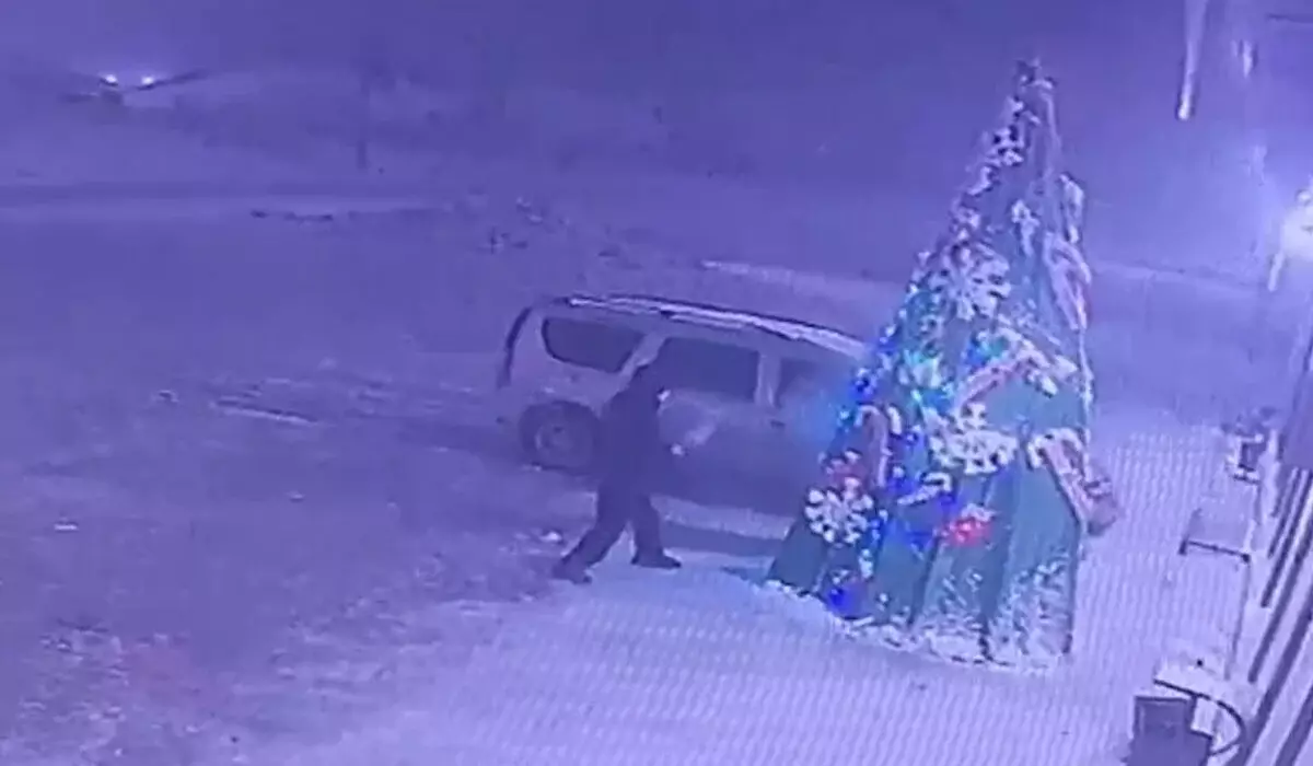 Подростки повредили елку в селе Мангистауской области (ВИДЕО)