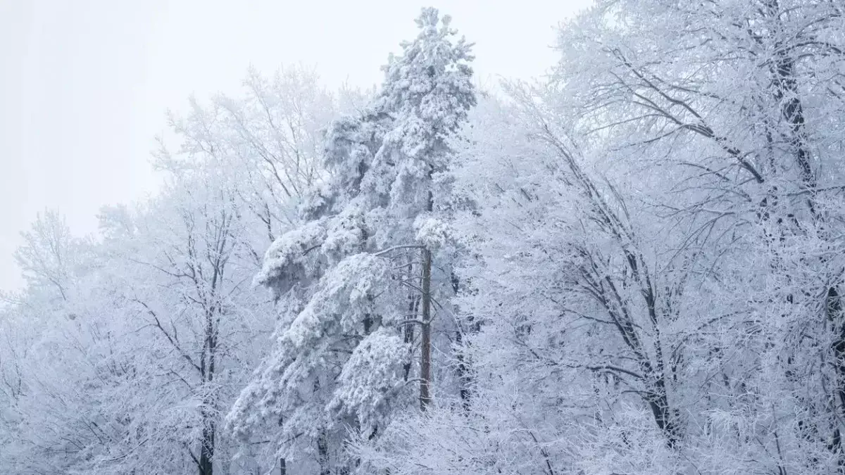 «Дауылды ескертулер»: 5 қаңтарда ауа райы қандай болады